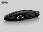 Hula Eagle Roof Box