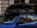 Hula Falcon Roof Box