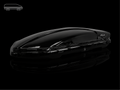 Hula Eagle Roof Box