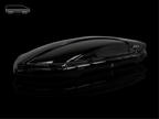 Hula Eagle Roof Box