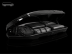 Hula Eagle Roof Box