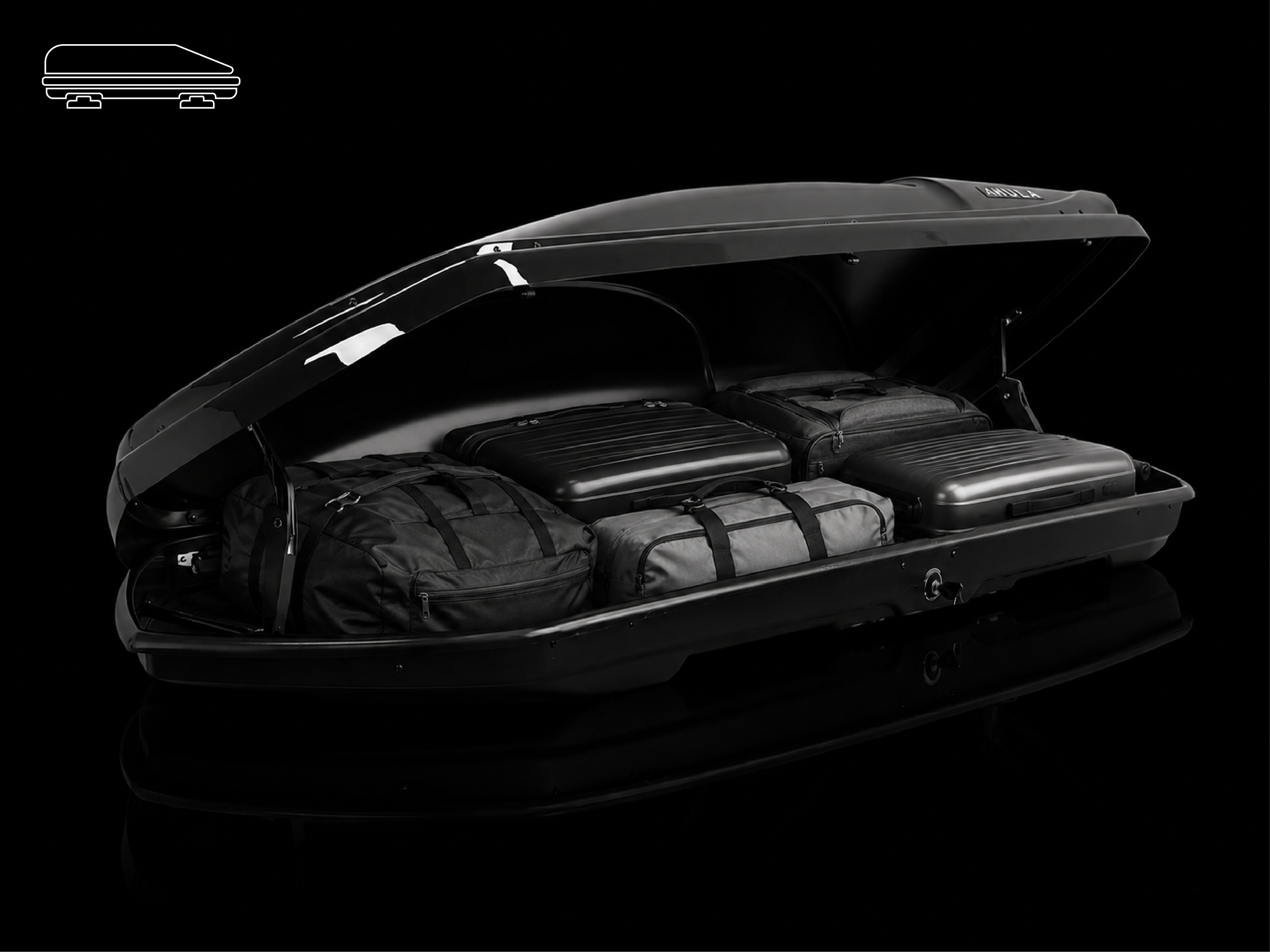 Hula Eagle Roof Box
